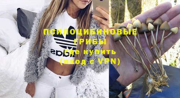 дживик Алексеевка