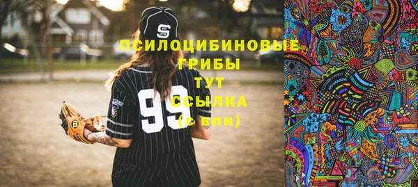 дживик Алексеевка