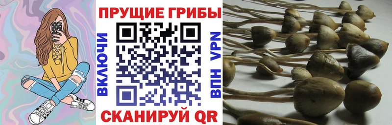 Галлюциногенные грибы GOLDEN TEACHER хочу наркоту blacksprut онион Невинномысск